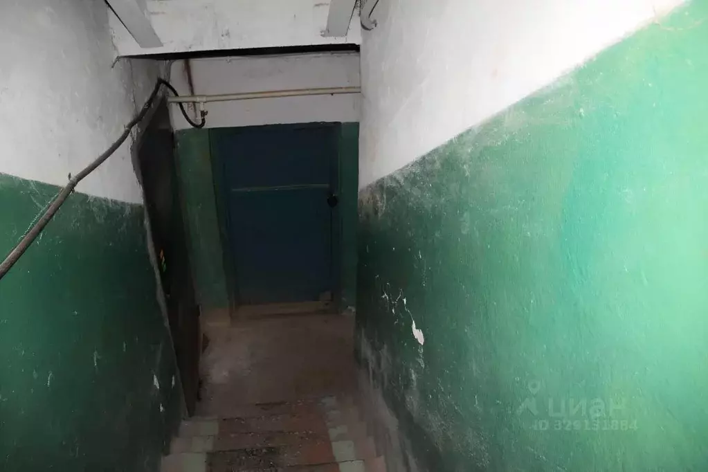 Помещение свободного назначения в Брянская область, Брянск ул. Дуки, ... - Фото 1