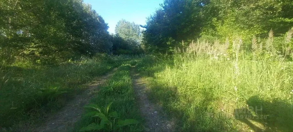 Участок в Краснодарский край, Северский район, Григорьевское с/пос, ... - Фото 1