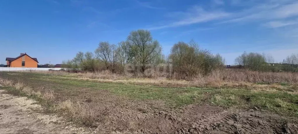 Участок В Медовке Воронеж Купить