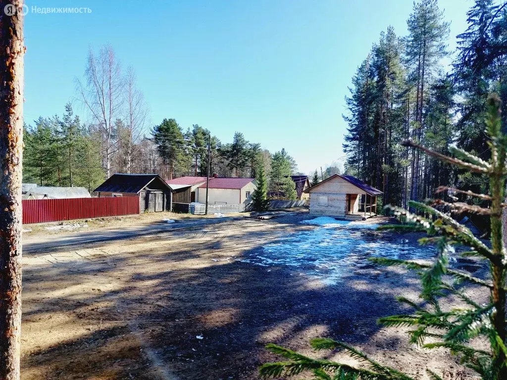 Участок в Республика Карелия, посёлок городского типа Пряжа (12 м) - Фото 1