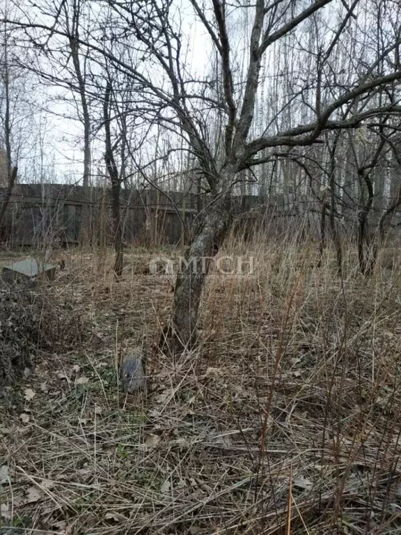 Участок в Московская область, Балашиха Щитниково кв-л, Владение 1 ... - Фото 1