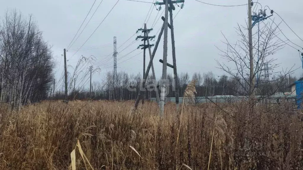 Участок в Сахалинская область, Анива Совхозная ул. (12.1 сот.) - Фото 1