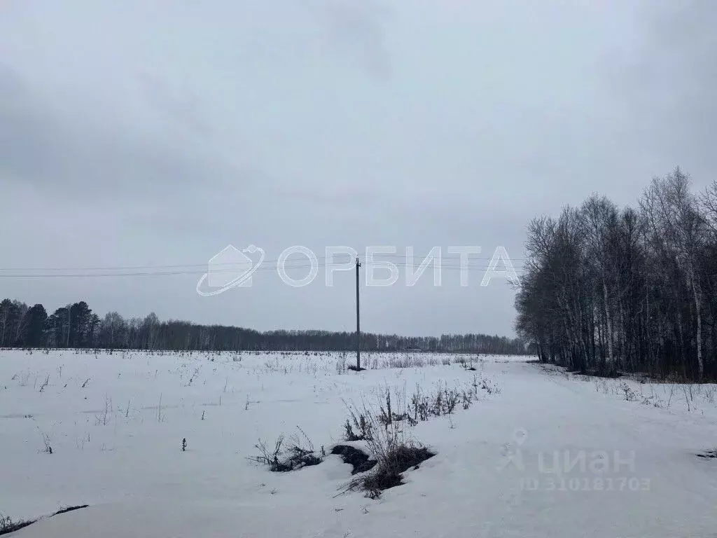 Участок в Тюменская область, Тюменский район, д. Ушакова Зеленая ул. ... - Фото 1