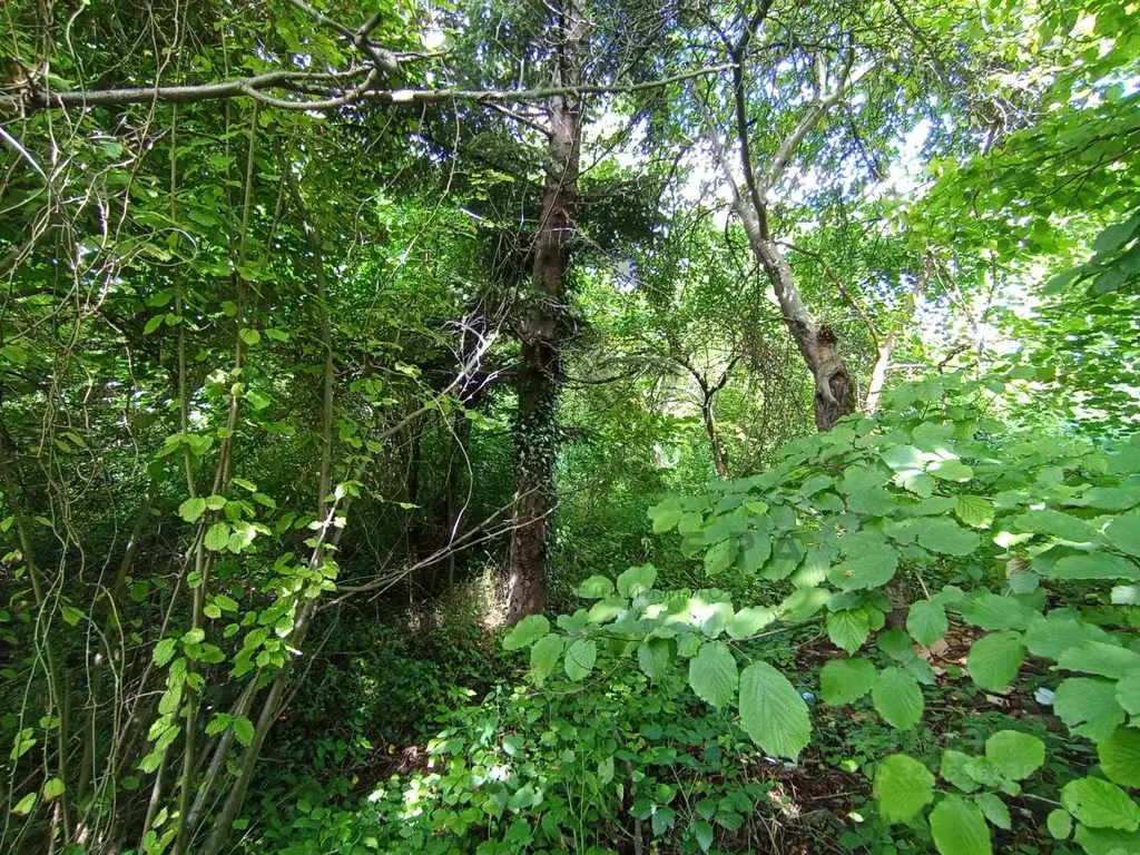 Участок в Краснодарский край, Хадыженск Апшеронский район, ... - Фото 1