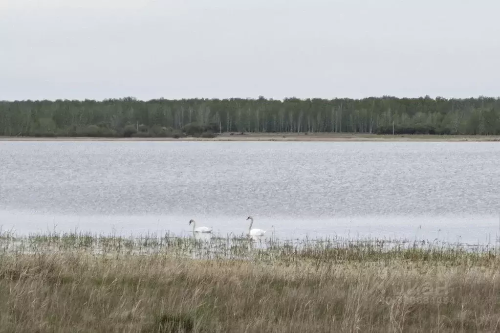 Участок в Челябинская область, Еткульский муниципальный округ, с. ... - Фото 1