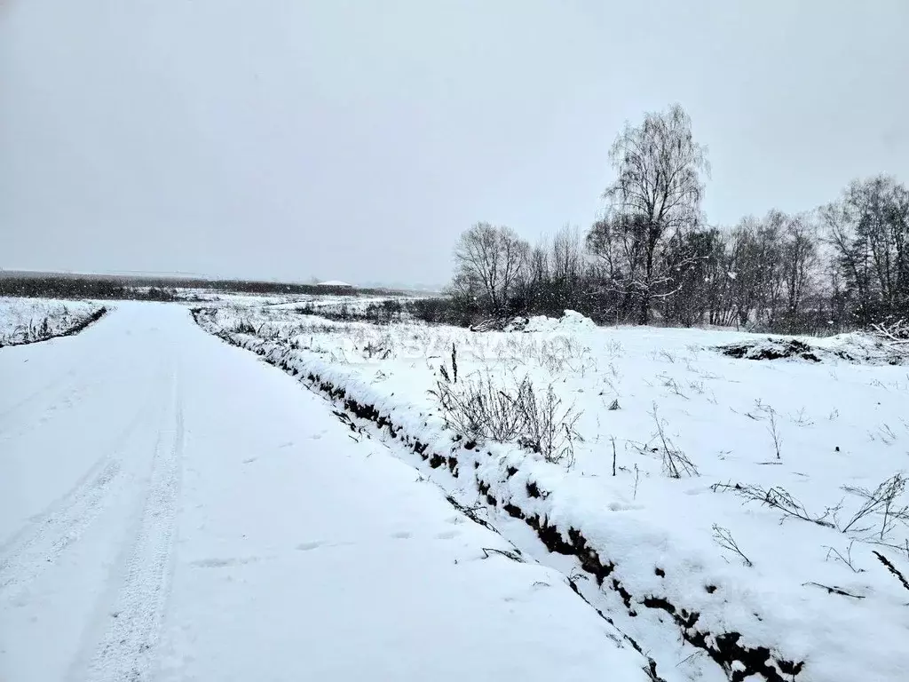 Участок в Московская область, Одинцовский городской округ, ЛапинО2 кп ... - Фото 1