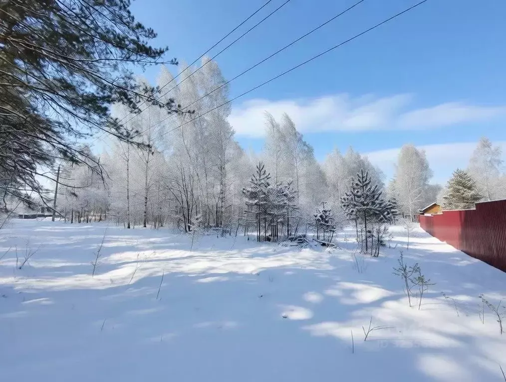 Участок в Владимирская область, Петушинский муниципальный округ, ... - Фото 2