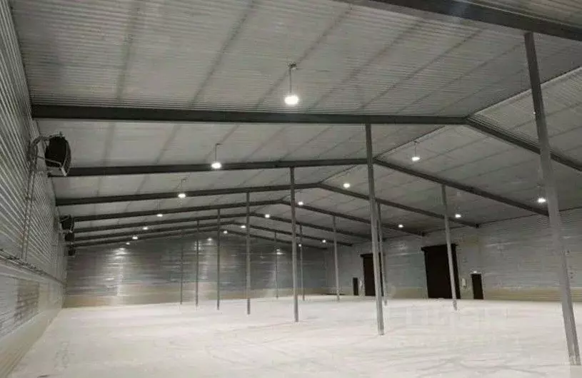 Склад в Ленинградская область, Тельмана Тосненский район, ул. ... - Фото 2