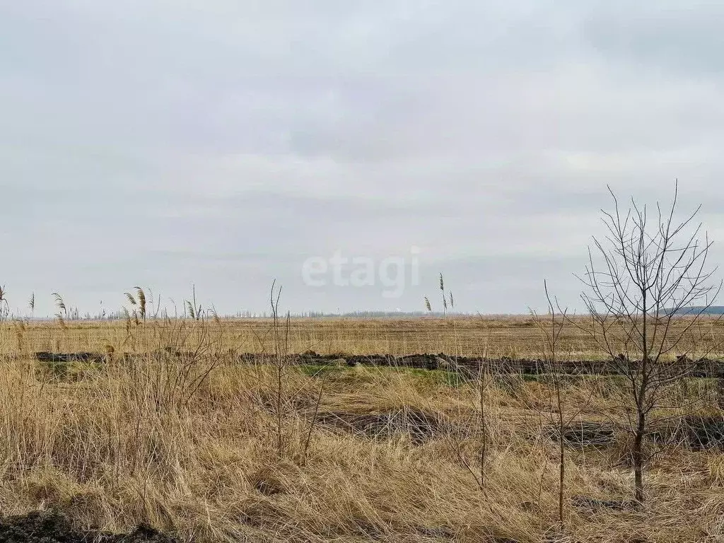 Участок в Адыгея, Тахтамукайский район, Старобжегокай аул  (10.0 сот.) - Фото 0