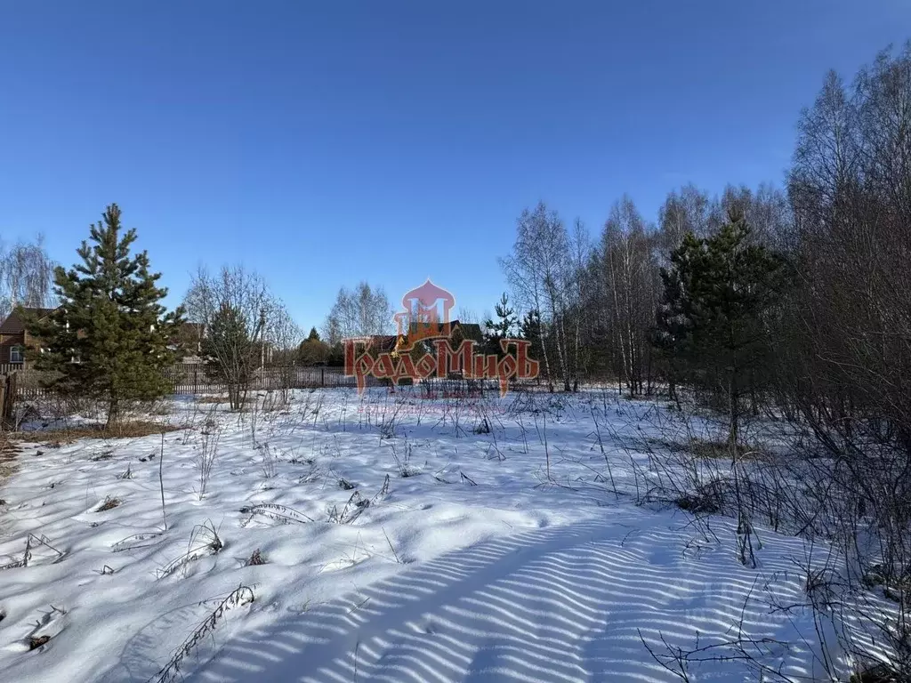 Участок в Владимирская область, Александровский район, Каринское ... - Фото 1