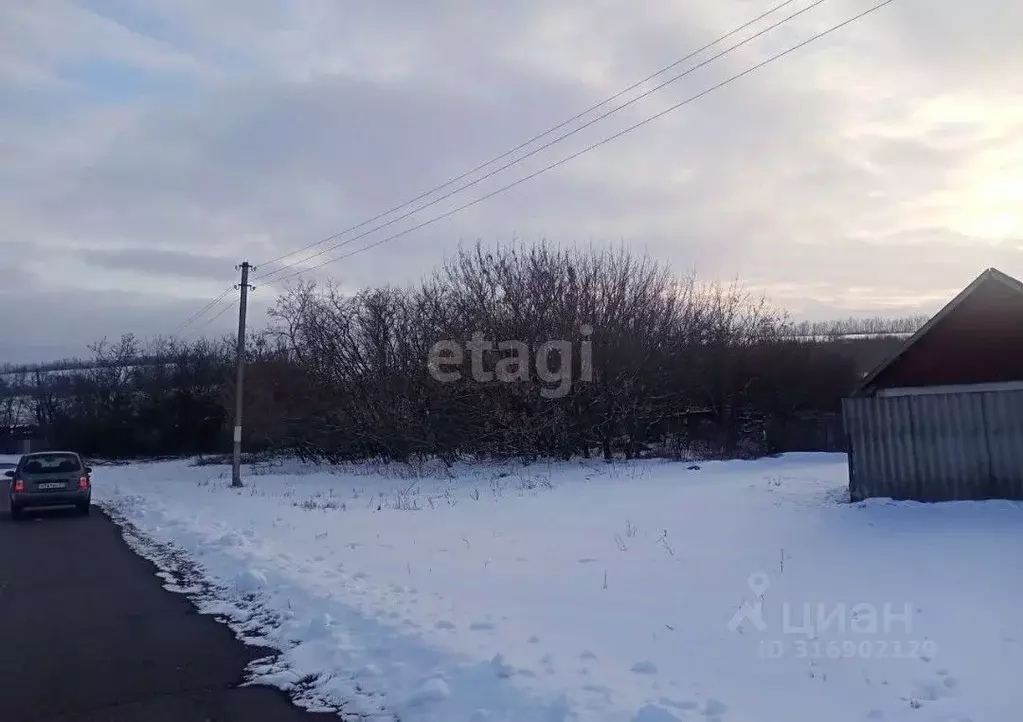 Участок в Белгородская область, Вейделевский район, Большелипяговское ... - Фото 1