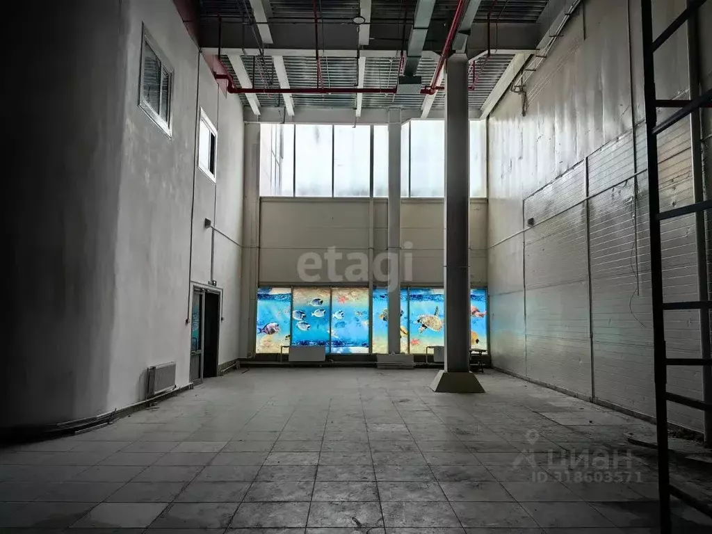 Торговая площадь в Башкортостан, Уфа Кольцевая ул., 65/1 (1447 м) - Фото 2