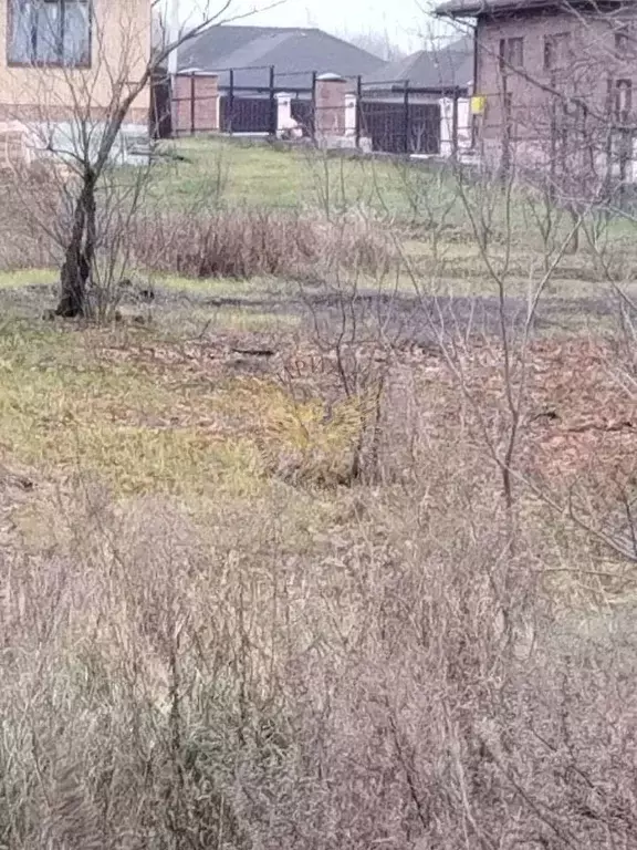 Участок в Белгородская область, Старый Оскол ул. Тереховская (10.0 ... - Фото 1