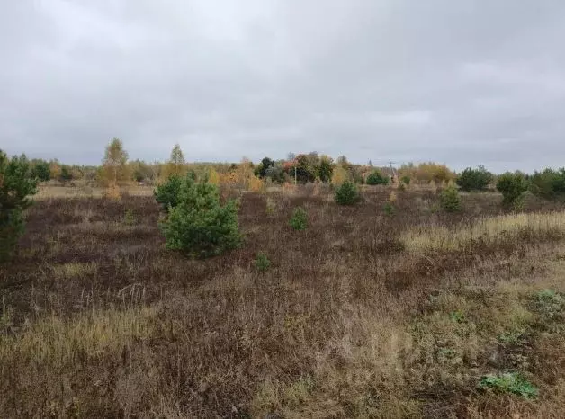 Участок в Московская область, Коломна городской округ, д. Свиридоново ... - Фото 0