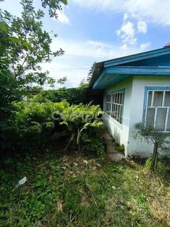 Дом в Тюменская область, Тюменский муниципальный округ, Мичуринец-2 ... - Фото 2