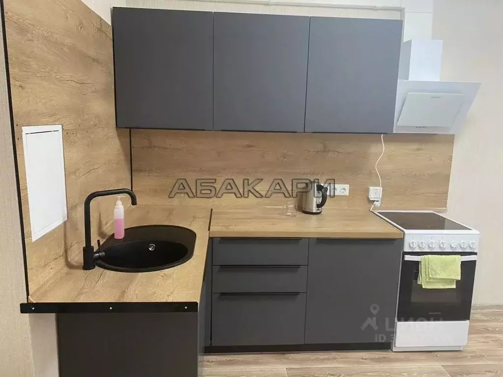 1-к кв. Красноярский край, Красноярск ул. Дубровинского, 110Г (40.0 м) - Фото 1