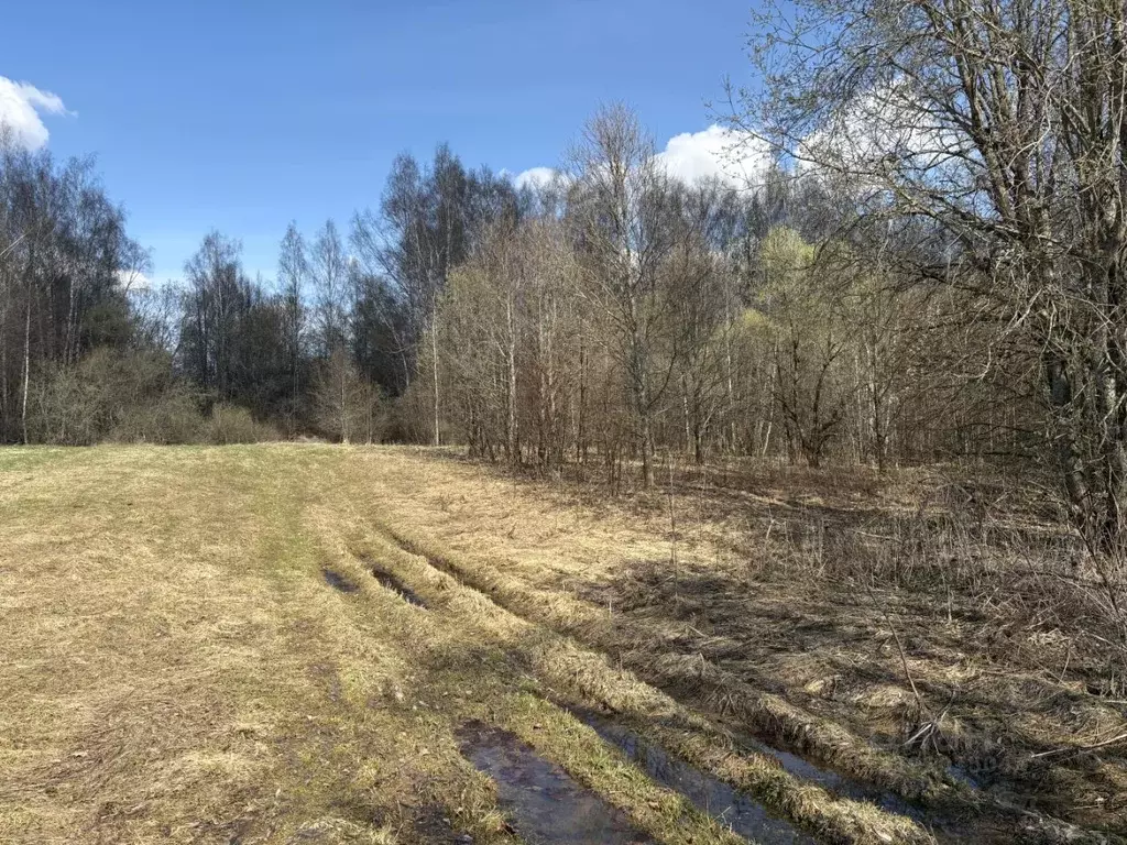 Участок в Смоленская область, Гагаринский муниципальный округ, д. ... - Фото 2