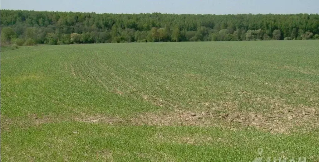 Участок в Калужская область, Медынский муниципальный округ, Михеево ... - Фото 1