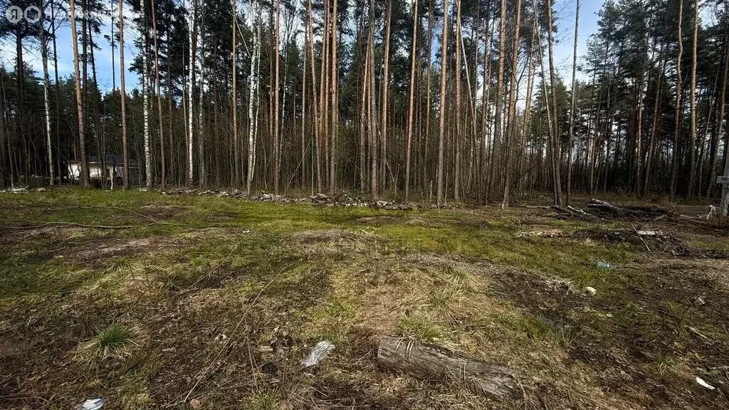 Участок в Богородский городской округ, КП Родное Пешково (10 м) - Фото 2