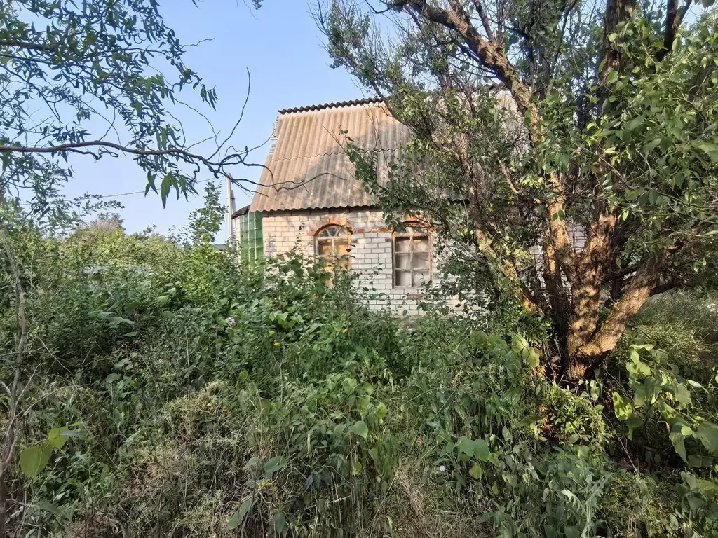 Дом в Волгоградская область, Светлоярский район, Червленовское с/пос, ... - Фото 2