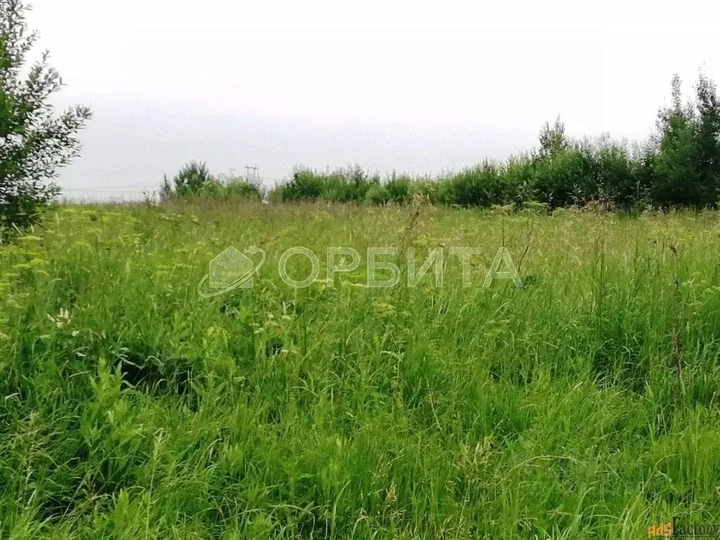 Участок в Тюменская область, Тюменский муниципальный округ, д. ... - Фото 1