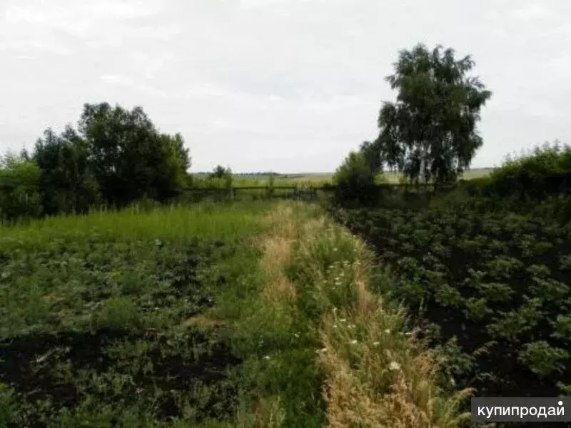 Участок в село Яблоновый Овраг, улица Чапаева, 5 (18 м) - Фото 0
