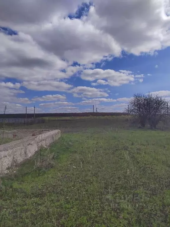 Участок в Самарская область, Ставропольский район, с. Ташелка Заречная ... - Фото 1