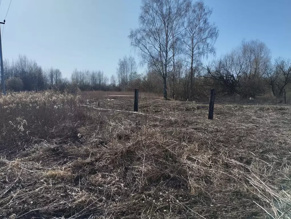 Участок в Московская область, Орехово-Зуево Восточная ул. (1000.0 ... - Фото 1