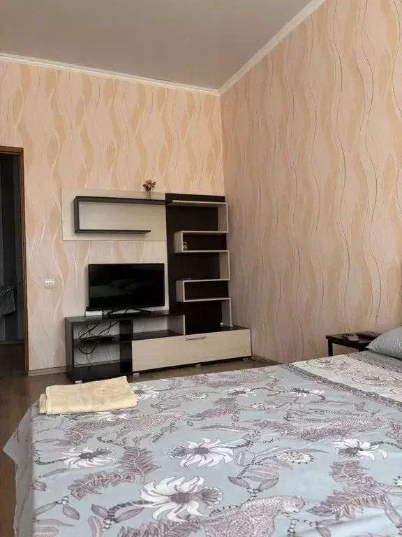 1-к кв. Краснодарский край, Выселки ст-ца ул. Южная, 79 (39.0 м) - Фото 2