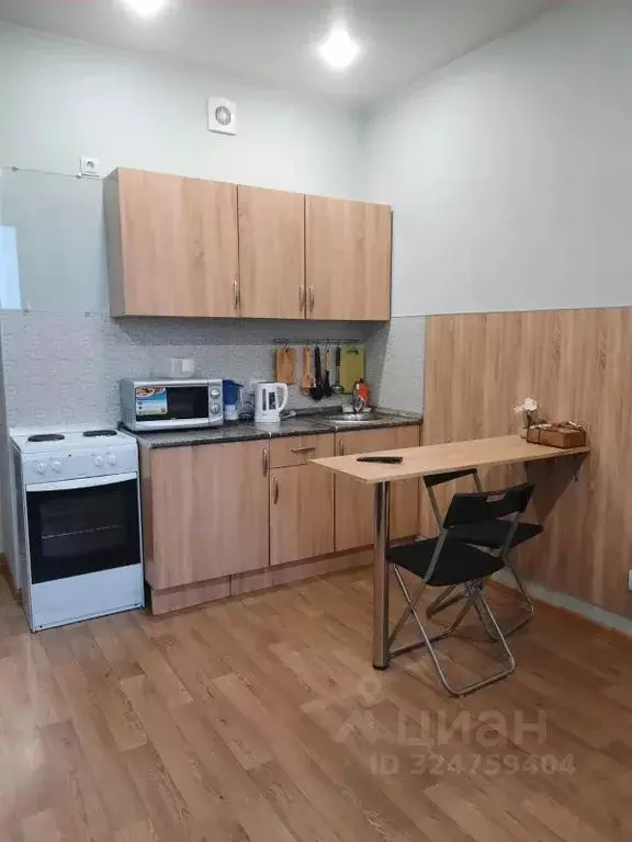 Студия Санкт-Петербург ул. Крыленко, 2 (25.0 м) - Фото 2