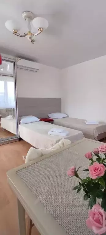 Студия Ставропольский край, Кисловодск Подгорная ул., 28 (22.0 м) - Фото 2