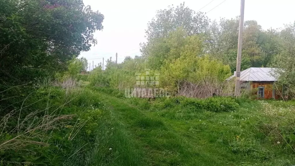 Дом в Воронежская область, Хохольское городское поселение, с. Хохол ... - Фото 0