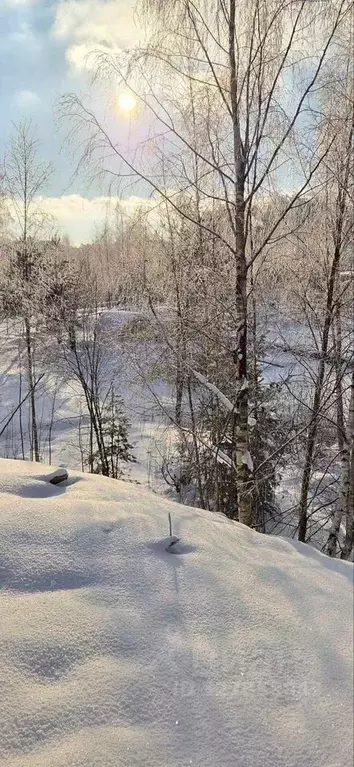 Участок в Ленинградская область, Всеволожский район, Колтушское ... - Фото 1