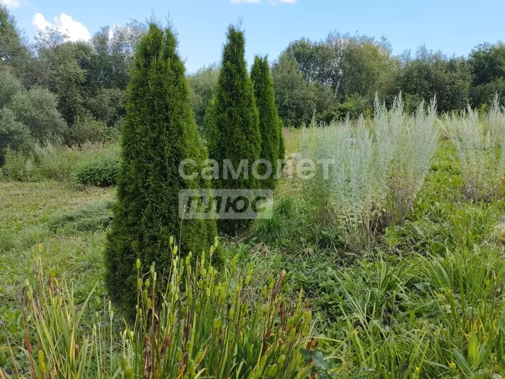 Участок в Пензенская область, Пензенский район, Алферьевский ... - Фото 1