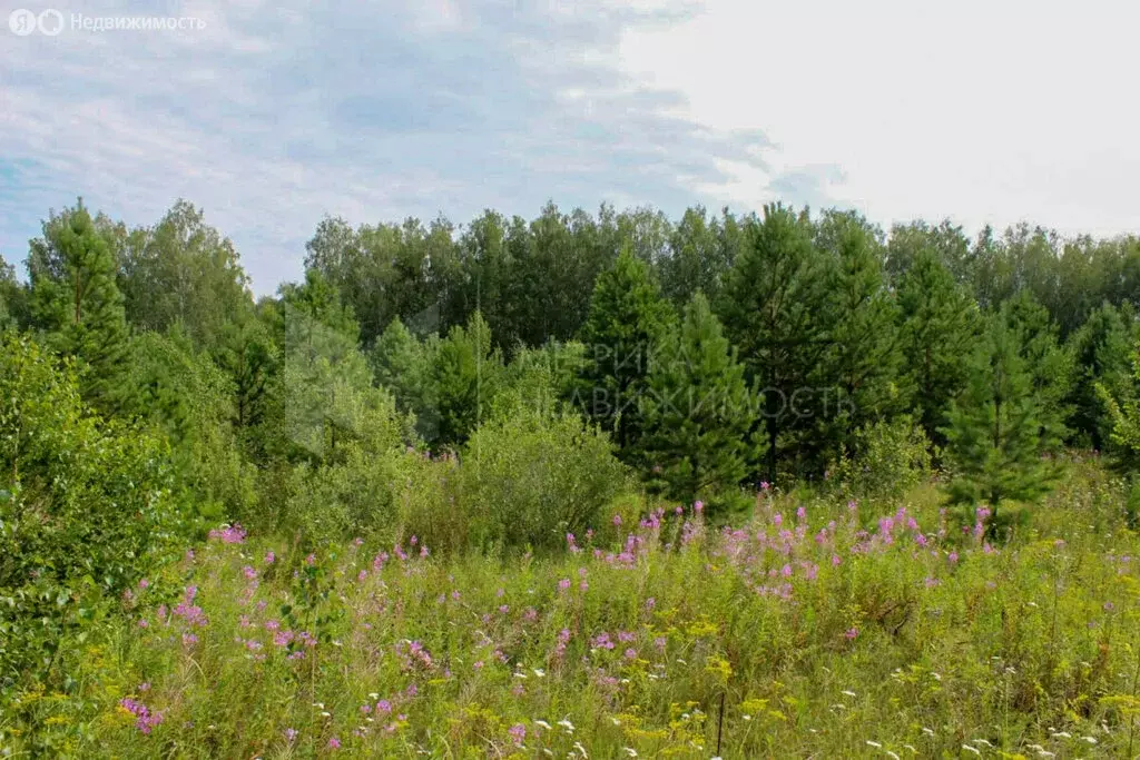 Участок в Тюменский район, коттеджный посёлок Новокаменский (90 м) - Фото 0