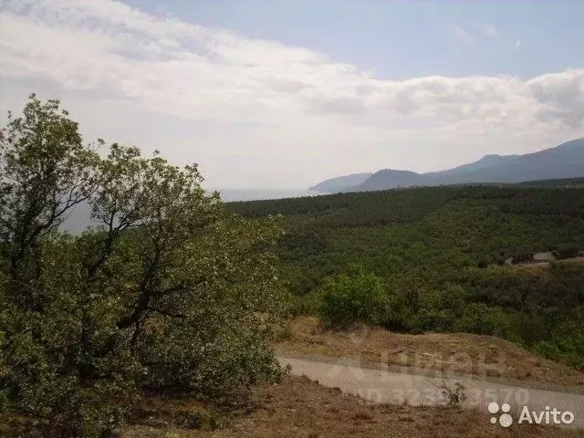 Участок в Крым, Алушта  (113.0 сот.) - Фото 2