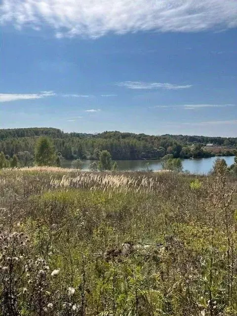 Участок в Тульская область, Тула городской округ, д. Кривцово  ... - Фото 1
