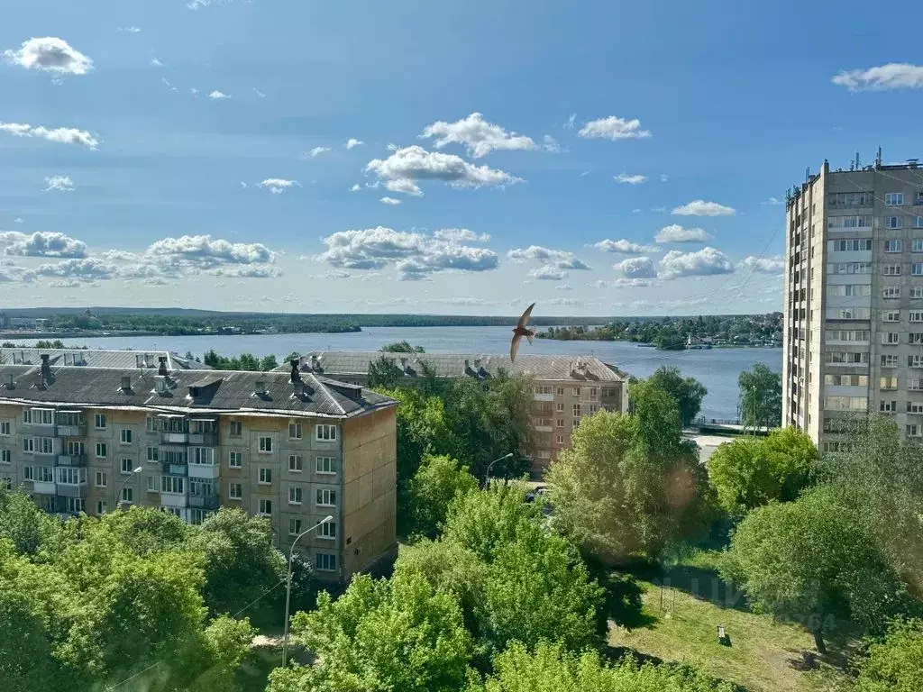 1-к кв. Свердловская область, Нижний Тагил ул. Горошникова, 66 (40.0 ... - Фото 0