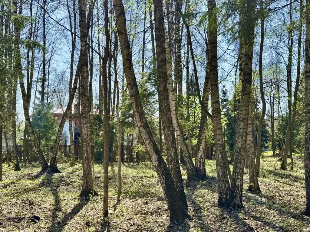 Участок в Московская область, Мытищи городской округ, с. Марфино ул. ... - Фото 1