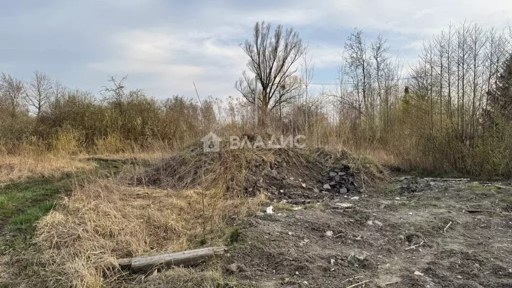 Участок в Калининградская область, Гурьевский муниципальный округ, ... - Фото 1
