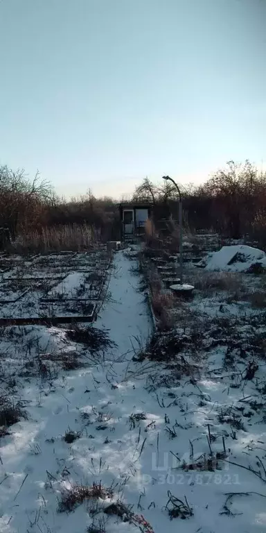 Дом в Нижегородская область, Лукояновский муниципальный округ, с. ... - Фото 2