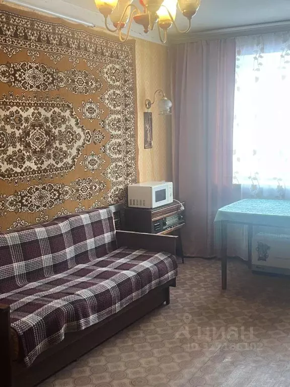 1-к кв. Московская область, Ногинск Богородский городской округ, ул. ... - Фото 1