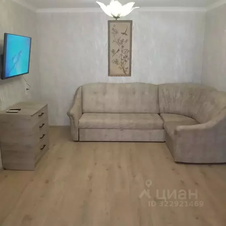 2-к кв. Краснодарский край, Сочи ул. Ленина, 50 (30.0 м) - Фото 1