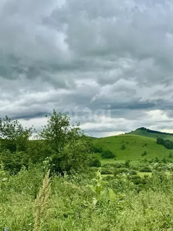 Участок в Алтайский край, Солонешенский район, с. Солонешное  (2320.0 ... - Фото 0