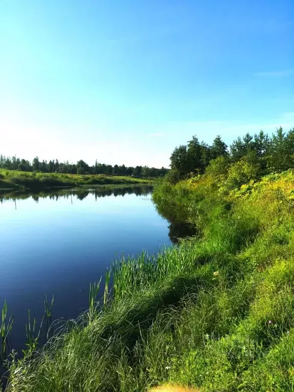 Участок в Ленинградская область, Тосненское городское поселение, д. ... - Фото 1