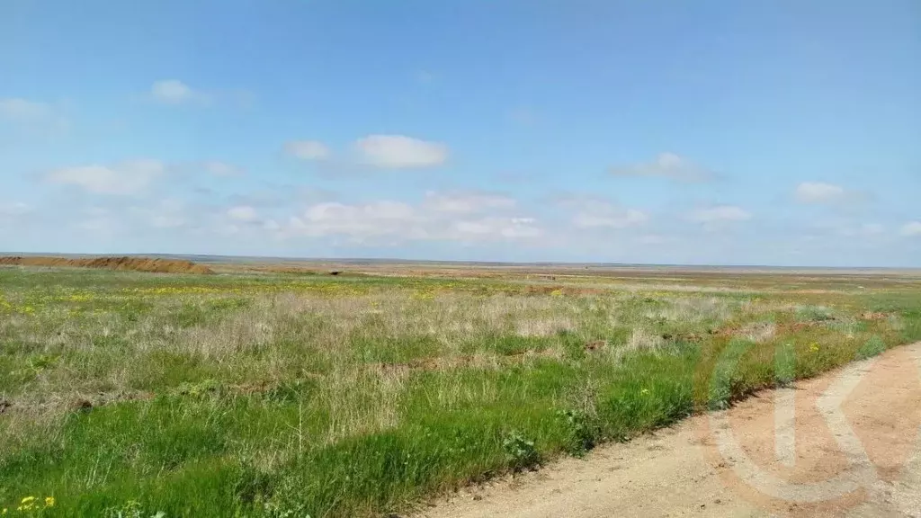 Участок в Крым, Сакский район, с. Митяево  (472.0 сот.) - Фото 0