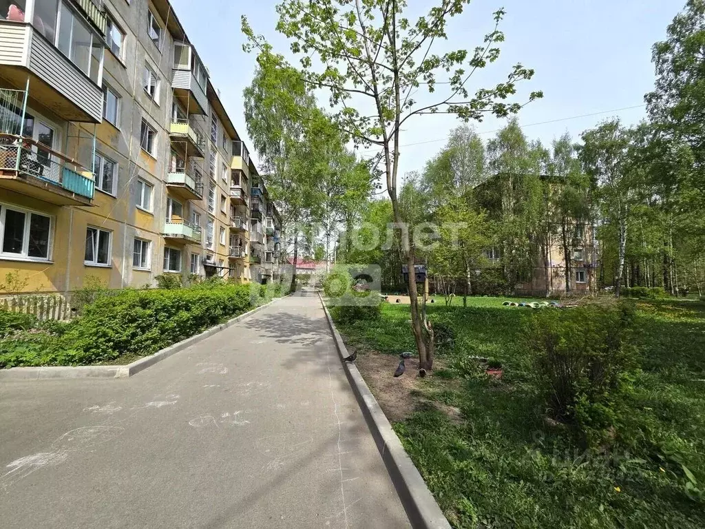 1-к кв. Карелия, Петрозаводск Октябрьский просп., 30А (31.2 м) - Фото 1