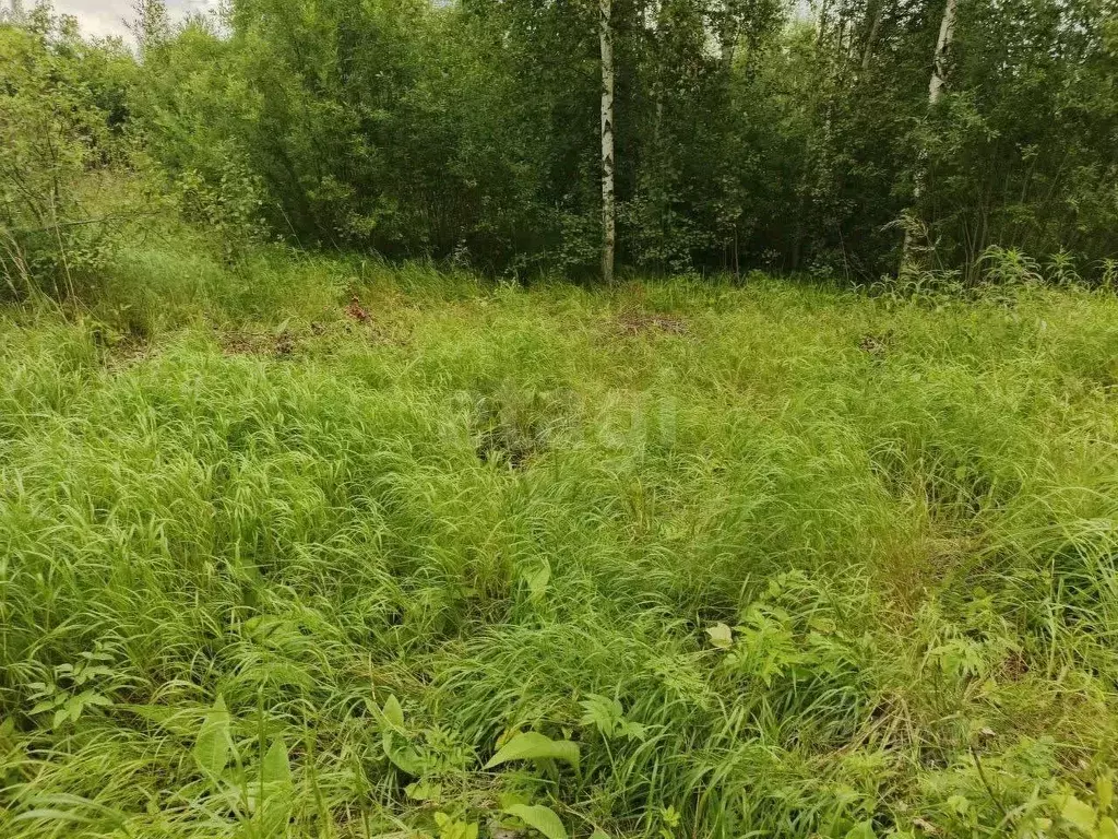 Участок в Ленинградская область, Киришский район, Кусинское с/пос, ... - Фото 1