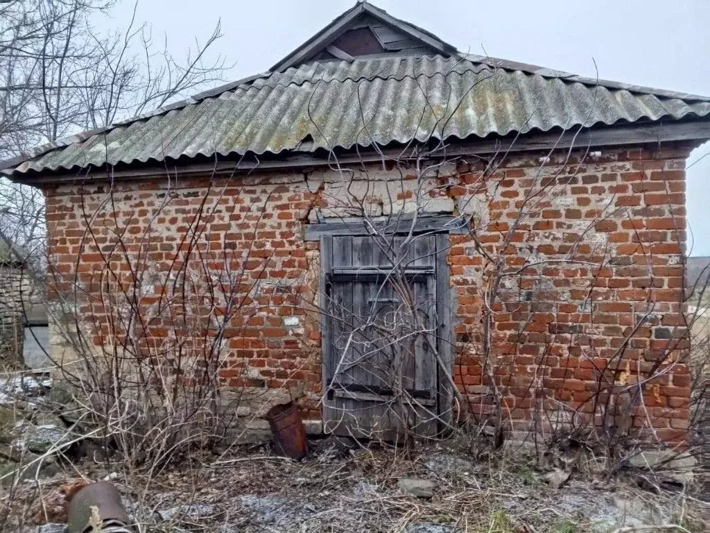 Дом в Липецкая область, Долгоруковский муниципальный округ, с. ... - Фото 2
