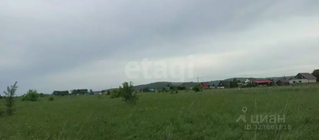 Участок в Алтайский край, Советский район, с. Платово  (12.0 сот.) - Фото 1